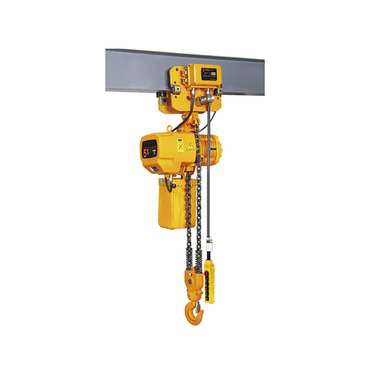Electric 100kg Chain Hoist