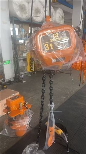 Newvision Has Successfully Exported A 3-ton Electric Chain Hoist To Algeria